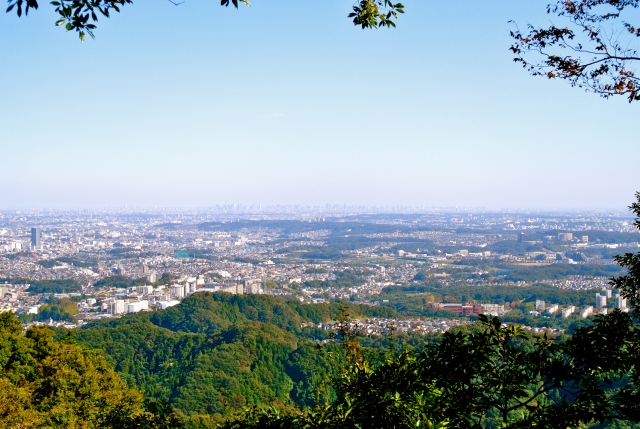 A view of the sprawling city of Tokyo. Can you believe how large it is?